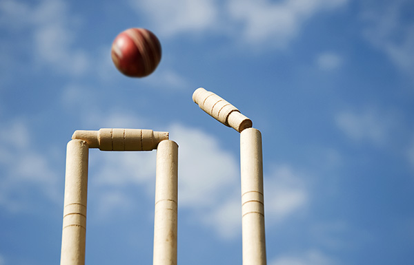 Chauffeur services for test cricket